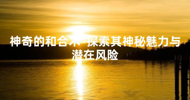 神奇的和合术  探索其神秘魅力与潜在风险